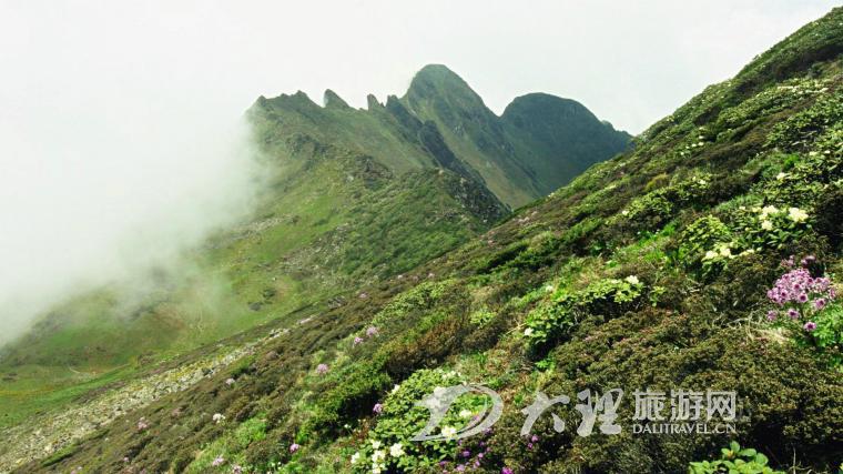 苍山4.jpg